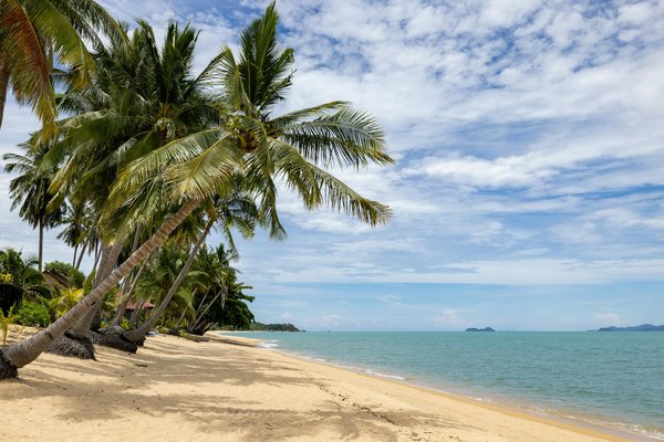 Énigmes et récits étonnants des hôtels de luxe prestigieux